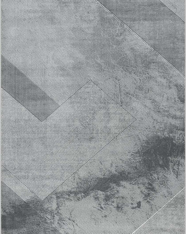 Ковер турецкий 39928A Nova Avalon (Полиэстер, серый)